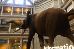 Natural History Museum, Washington DC