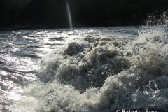 Nenana River