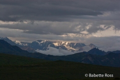 Back Country, Glaciers