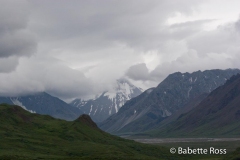 Back Country, Glaciers