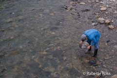 Panning For Gold