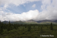 Back Country