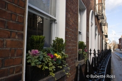 Window Box 2007-12-28