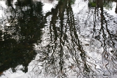 St. Stephen's Green 2007-12-30