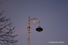 Street Light 2007-12-30
