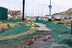 Howth 2008-07-19
