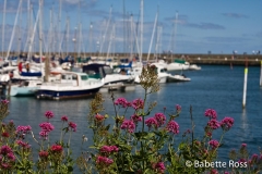Howth 2008-07-19