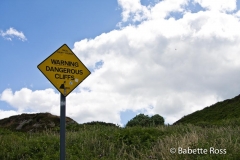 Howth 2008-07-19