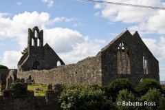 Howth St. Mary's 2008-07-19
