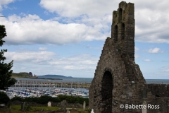 Howth St. Mary's 2008-07-19