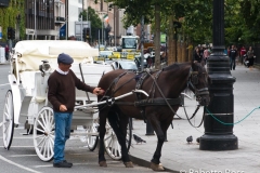 St Stephen's Green 2009-07-26