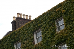 Chimneys 2009-07-26