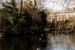 St. Stephen's Green 2013-12-29