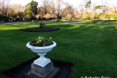 St. Stephen's Green 2013-12-29