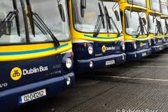 Buses 2015-11-29