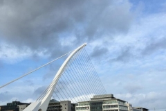 Samuel Beckett Bridge  2015-11-29