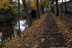 Grand Canal 2018-11-04