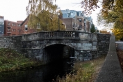 Grand Canal 2018-11-04