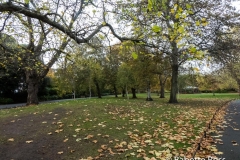 St. Stephen's Green 2018-11-04