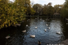 St. Stephen's Green 2018-11-04