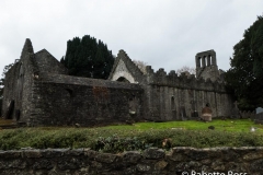 Malahide Castle 2018-11-08