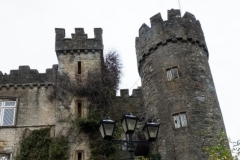 Malahide Castle 2018-11-08