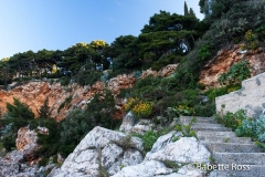 Park Gradac, Dubrovnik 2013-03-17