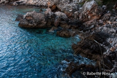 Park Gradac, Dubrovnik 2013-03-17