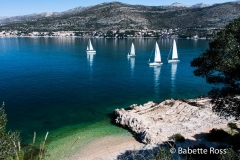 Lapad Peninsula, Dubrovnik 2013-03-17