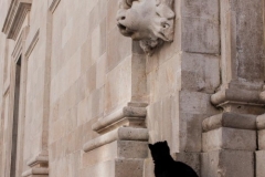 Cat at Church of St Blaise, Dubrovnik 2013-03-17