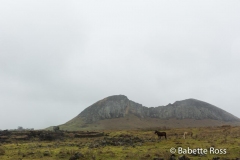 Rano Raraku Quarry