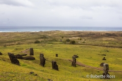 Rano Raraku Quarry