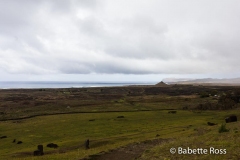 Rano Raraku Quarry