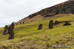 Rano Raraku Quarry