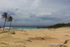Anakena Beach