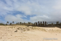Ahu Nau Nau, Anakena Beach