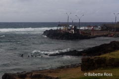 Hanga Roa