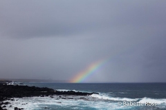 Rapa Nui - Easter Island