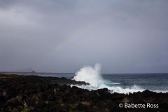 Rapa Nui - Easter Island