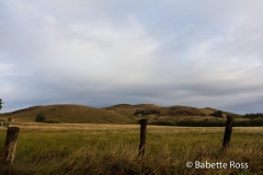 Rapa Nui - Easter Island