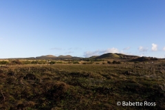 Rapa Nui - Easter Island