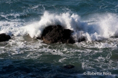 Ecola State Park