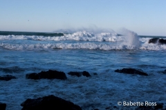 Ecola State Park