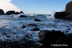 Ecola State Park