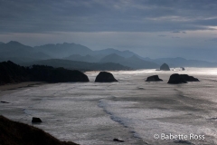 Ecola State Park