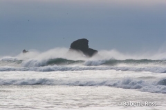 Ecola State Park