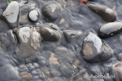 Ecola State Park