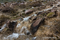 El Cajon del Maipo