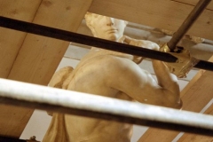 Pallazzo Vecchio 1998-11-13