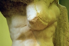 Academia, Michelangelo David, 1998-11-14